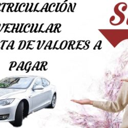 Verificar SRI matriculaciÃ³n vehicular nombre propietario