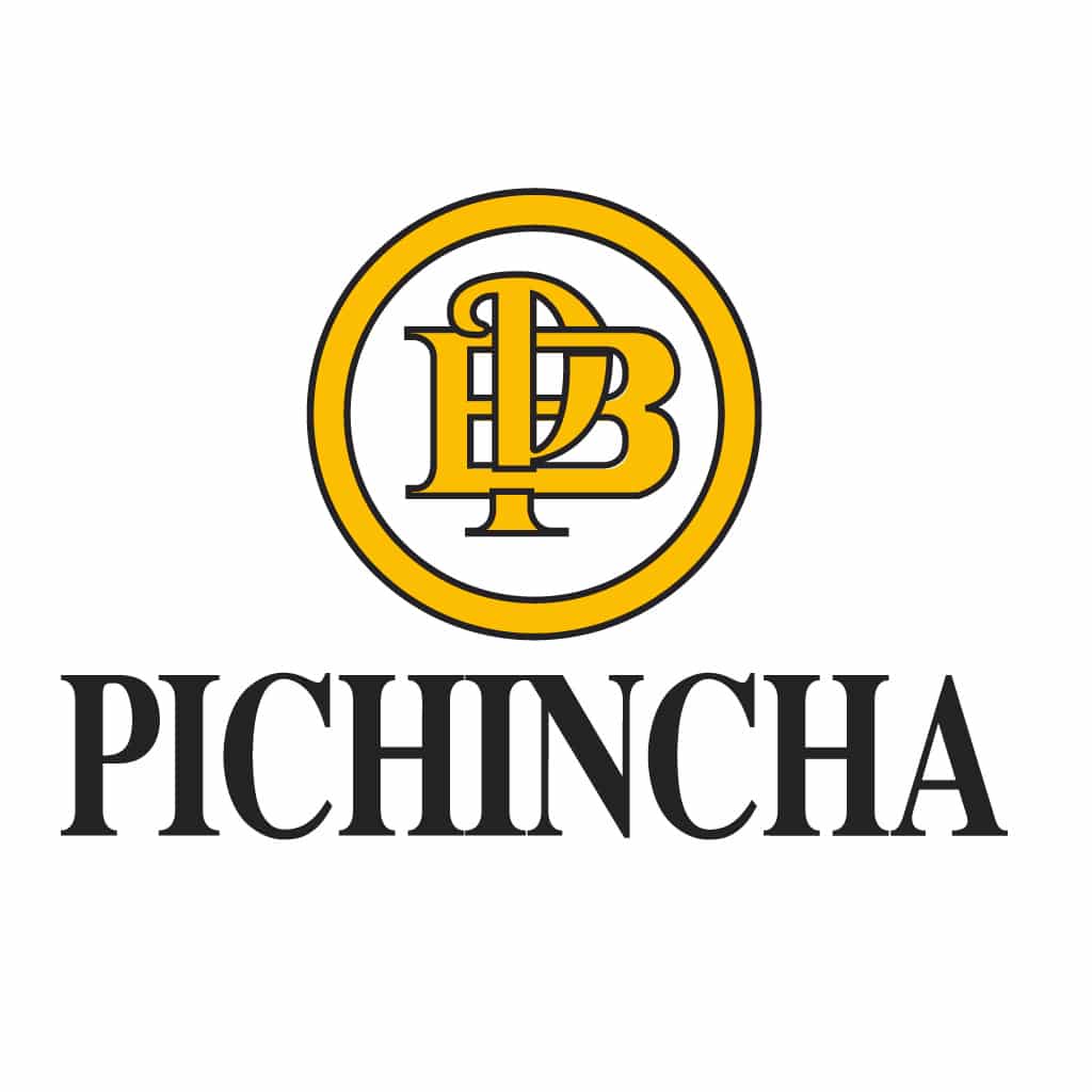 Estado de cuenta Pichincha