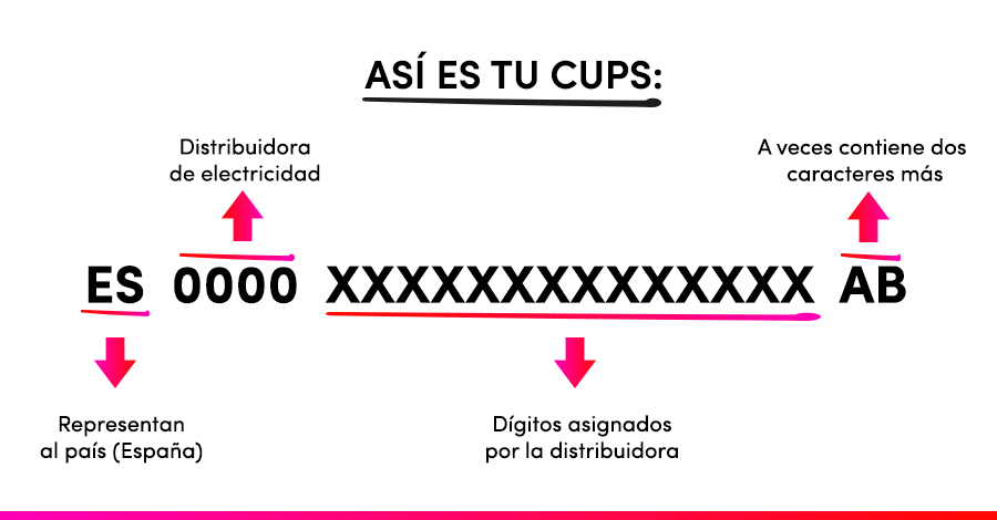 cups Endesa