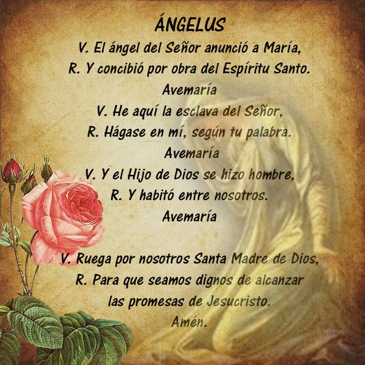 La oración del Ángelus: un recordatorio diario del amor de Dios